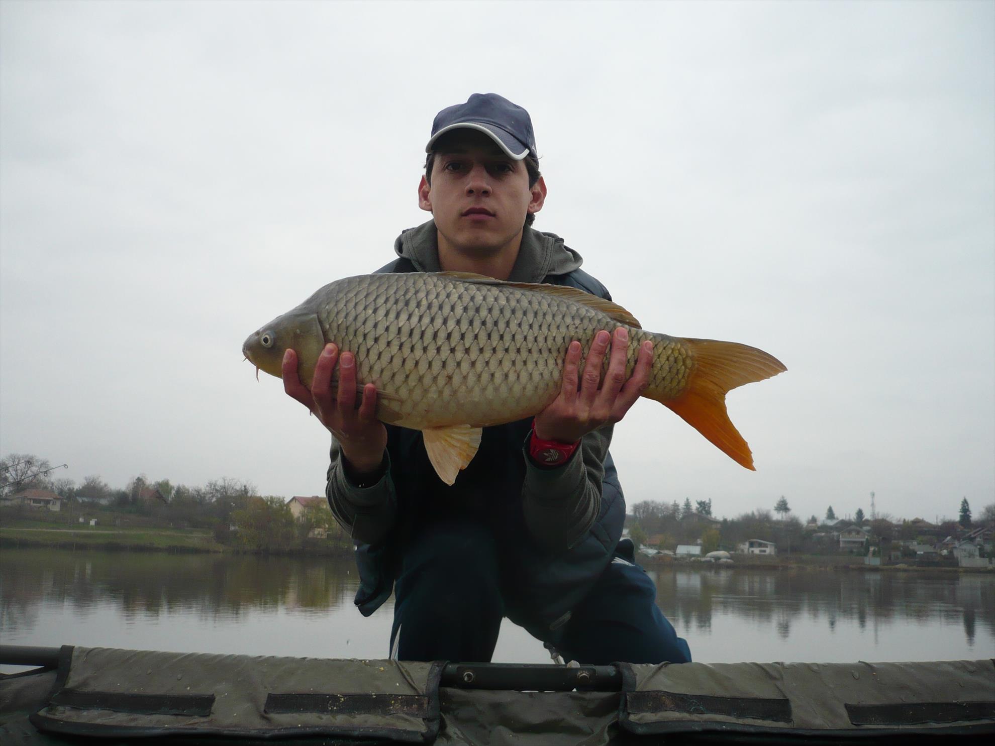 MV2 - 13.NOI.2013 - p1010929.JPG